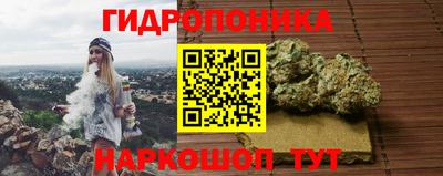 трава Лесосибирск
