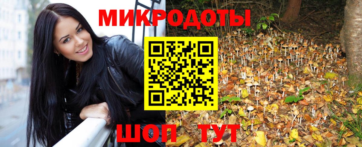 сколько стоит  Галлюциногенные грибы мицелий  Чебоксары  Вход с VPN  Псилоцибиновые грибы Cubensis 